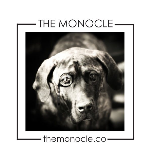 the monocle:   an eye on design
